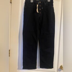 NWT Prana Dark Wash Button‎ Fly Straight Leg Denim Jeans 8 29 Outdoor Basic